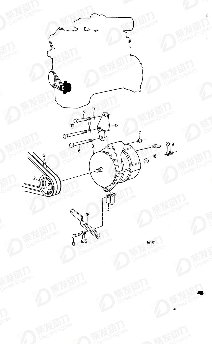 VOLVO V-belt 966696 Drawing